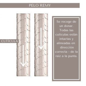 Pelo-remy